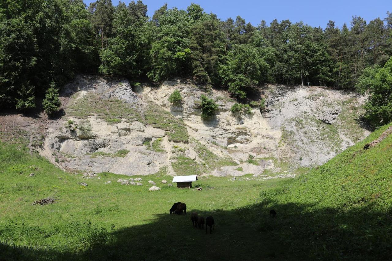 Landgasthof Adler Utzmemmingen 외부 사진